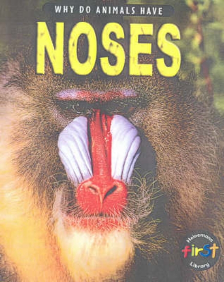 Picture of Why do Animals Have Noses Paperback