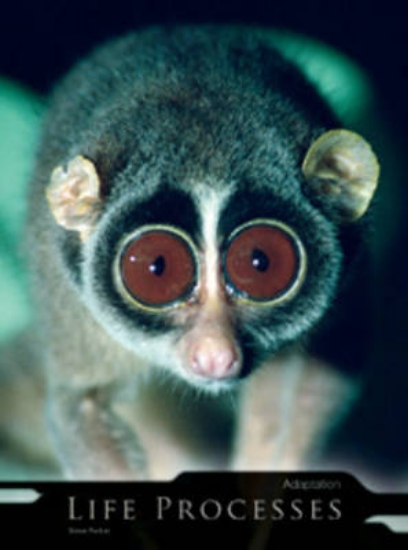 Picture of Adaptation