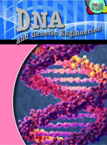 Picture of DNA and Genetic Engineering