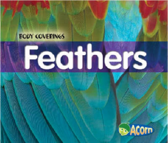 Picture of Feathers