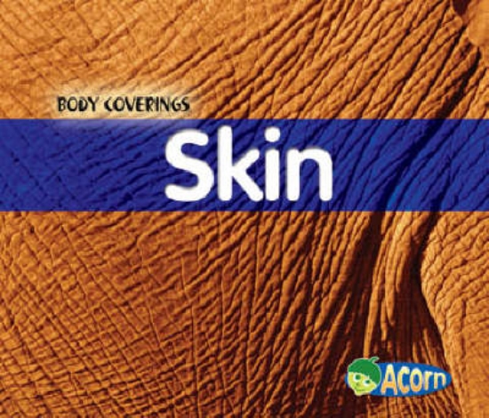 Picture of Skin