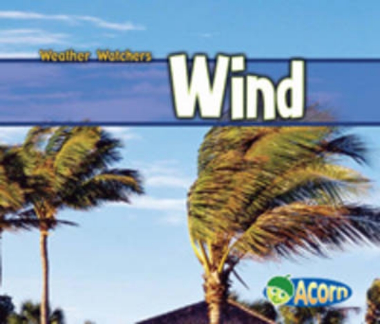 Picture of Wind