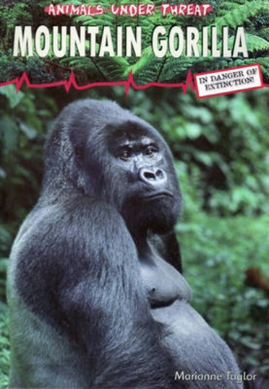 Picture of Animals Under Threat: Mountain Gorilla Hardback