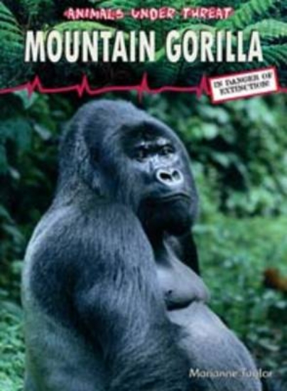 Picture of Animals Under Threat: Mountain Gorilla Hardback