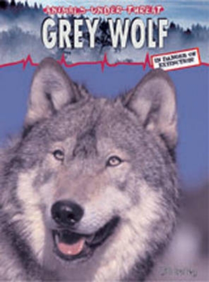 Picture of Animals Under Threat: Grey Wolf Hardback