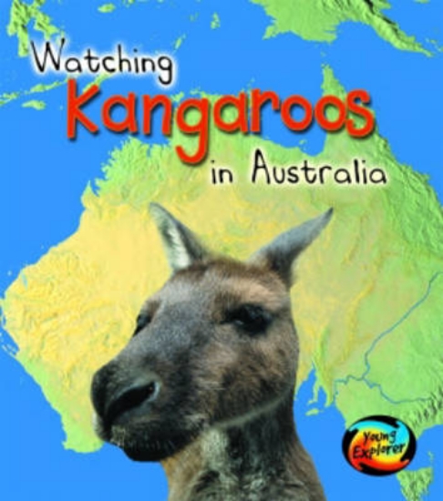 Picture of Watching Kangaroos in Australia