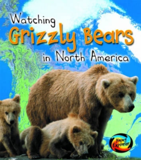 Picture of Grizzly Bears in North America