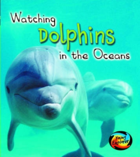 Picture of Watching Dolphins in the Oceans