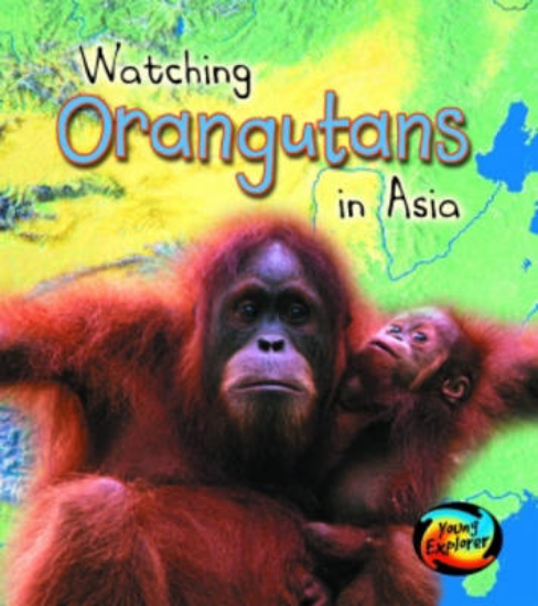 Picture of Watching Orangutans in Asia