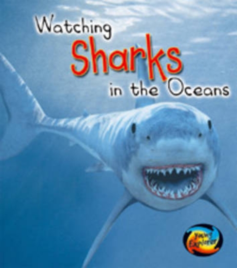 Picture of Watching Sharks in the Oceans