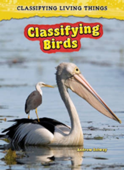 Picture of Classifying Birds