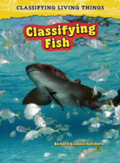 Picture of Classifying Fish