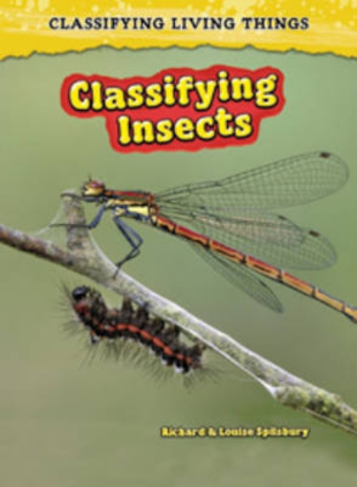 Picture of Classifying Insects