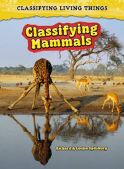 Picture of Classifying Mammals