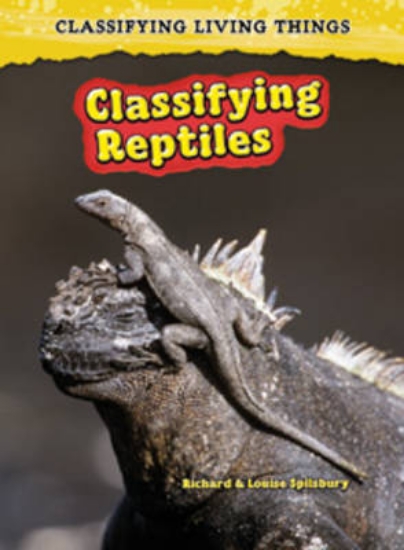 Picture of Classifying Reptiles