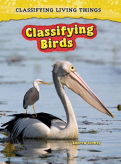 Picture of Classifying Birds