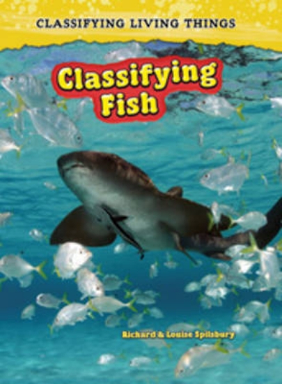 Picture of Classifying Fish