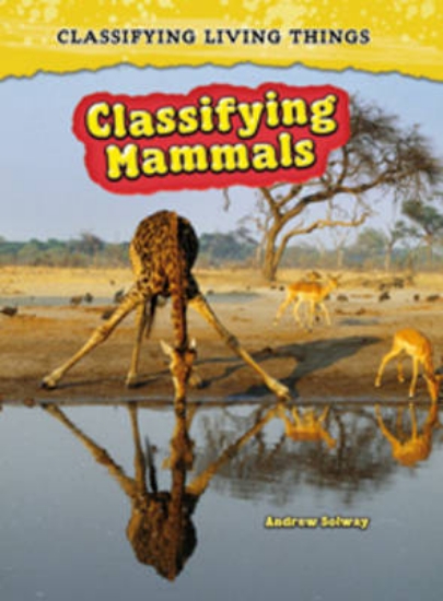 Picture of Classifying Mammals