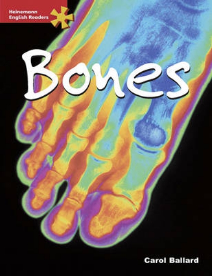 Picture of HER Advanced Science: Bones