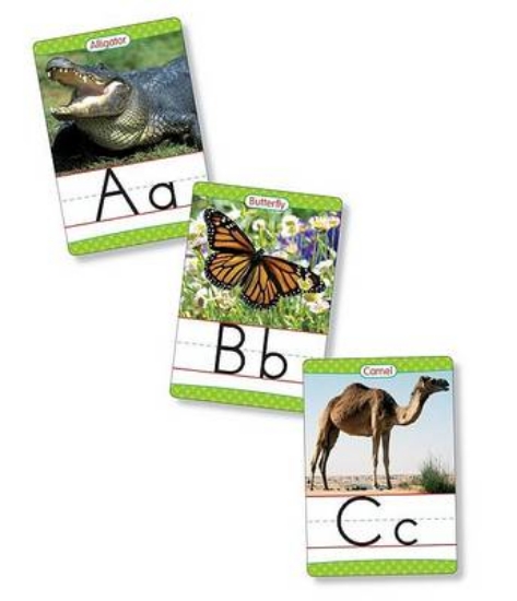 Picture of Animals from A to Z Manuscript Alphabet Set