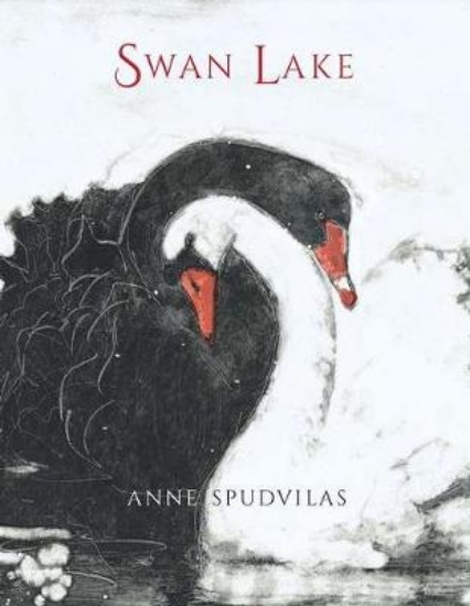 Picture of Swan Lake