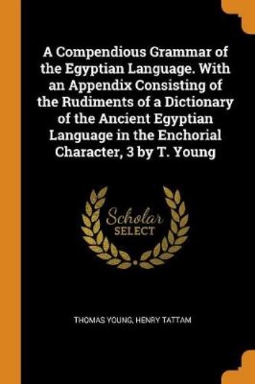 Picture of A Compendious Grammar of the Egyptian Language. wi