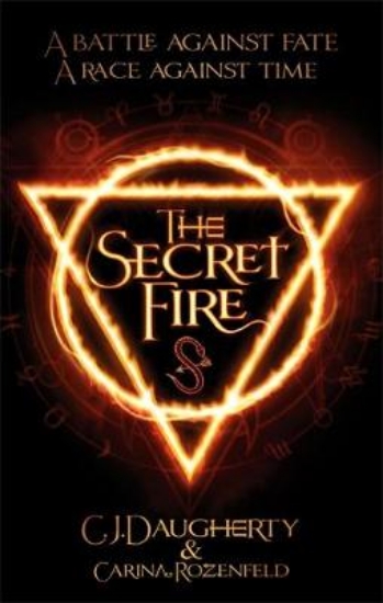 Picture of The Secret Fire