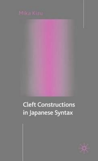 Picture of Cleft Constructions in Japanese Syntax
