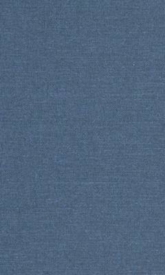 Picture of White Image in the Black Mind, The: African-Americ