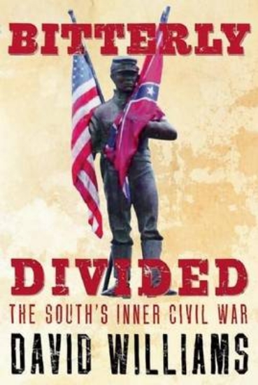 Picture of Bitterly Divided: The South's Inner Civil War
