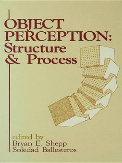 Picture of Object Perception: Structure and Process