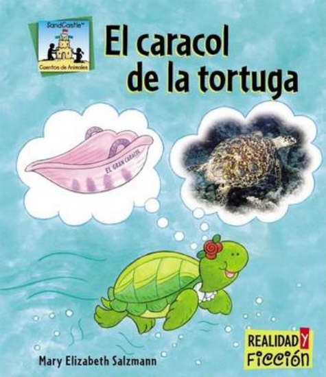 Picture of El Caracol de la Tortuga
