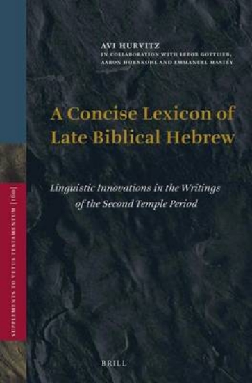 Picture of Concise Lexicon of Late Biblical Hebrew, A: Lingui