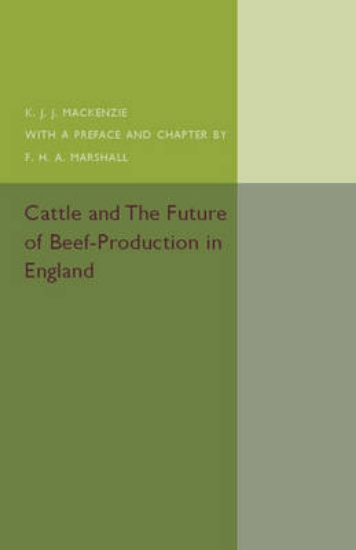Picture of Cattle and the Future of Beef-Production in Englan