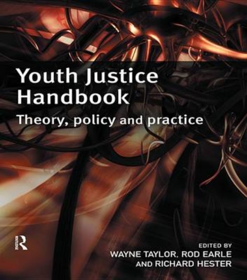 Picture of Youth Justice Handbook