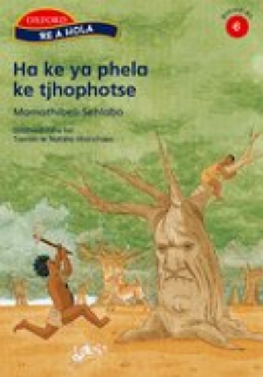 Picture of Oxford Sesotho Re a Hola: Gr 6: Pack of 3 Readers