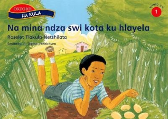 Picture of Na mina ndza swi kota ku hlayela