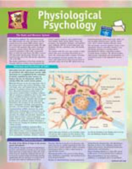 Picture of Study Card for Physiological Psychology