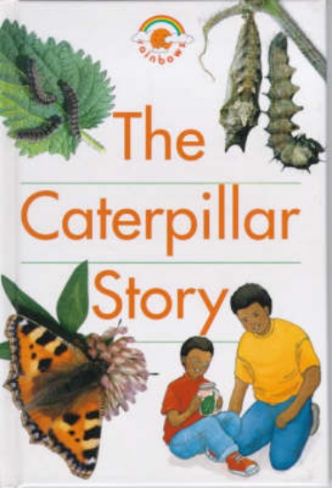 Picture of The Caterpillar Story