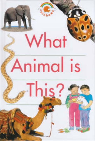 Picture of What Animal is This?