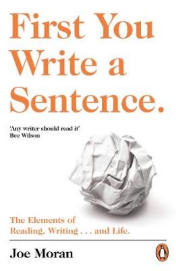 Picture of First You Write a Sentence