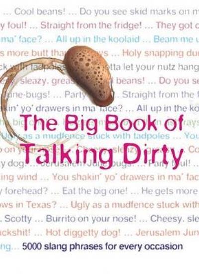 Picture of The Big Book of Talking Dirty
