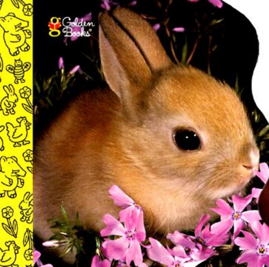 Picture of 10 Little Bunnies