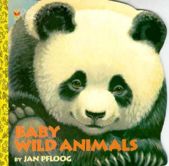 Picture of Baby Wild Animals