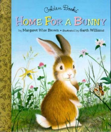 Picture of Home for a Bunny