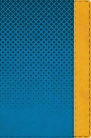 Picture of NIV, Giant Print Compact Bible for Boys, Leatherso