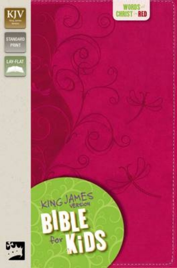 Picture of KJV, Bible for Kids