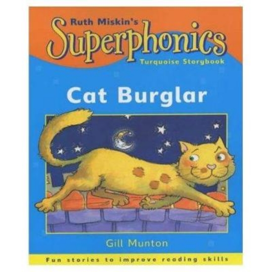 Picture of Turquoise Storybook: Cat Burglar