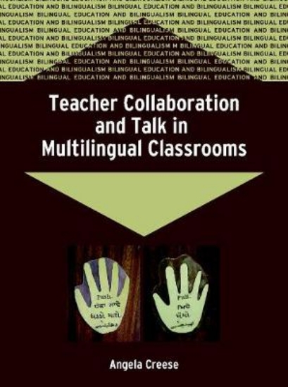 Picture of Teacher Collaboration and Talk in Multilingual Cla