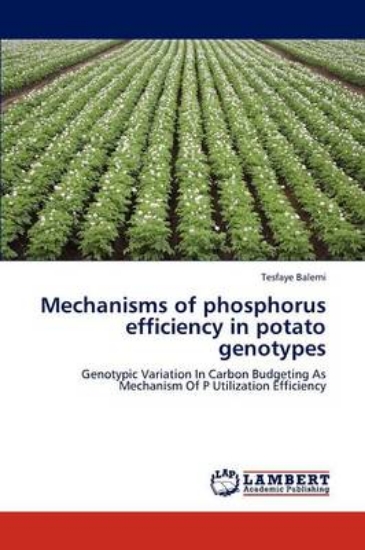 Picture of Mechanisms of Phosphorus Efficiency in Potato Geno